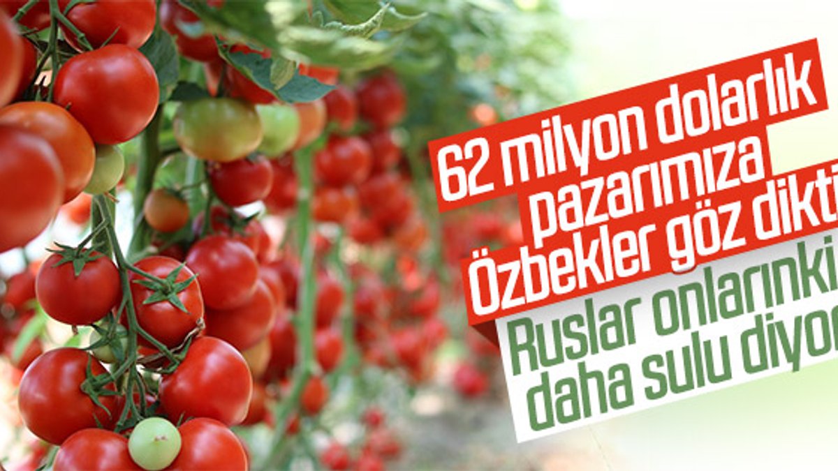 Rusya'dan Türk ürünlerine eleştiri Özbek ürünlerine övgü