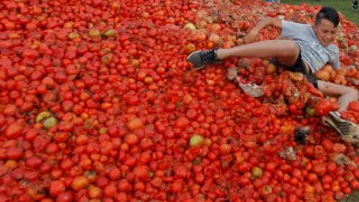 Kolombiya'da domates savaşları