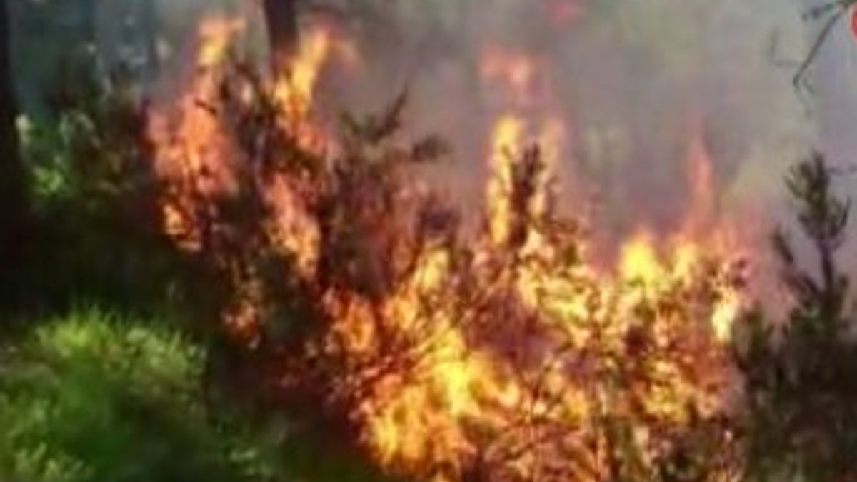 Pendik'teki Aydos Ormanı yanıyor