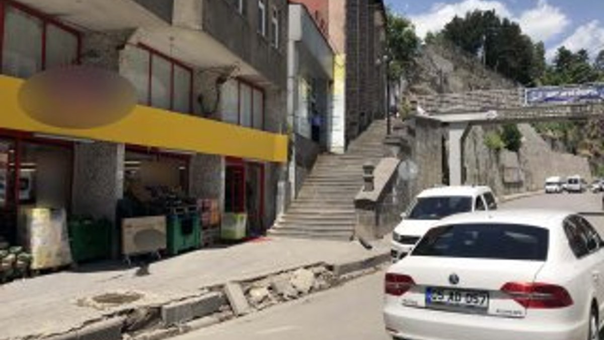 Bitlis'te otomobil merdivenlerden indi
