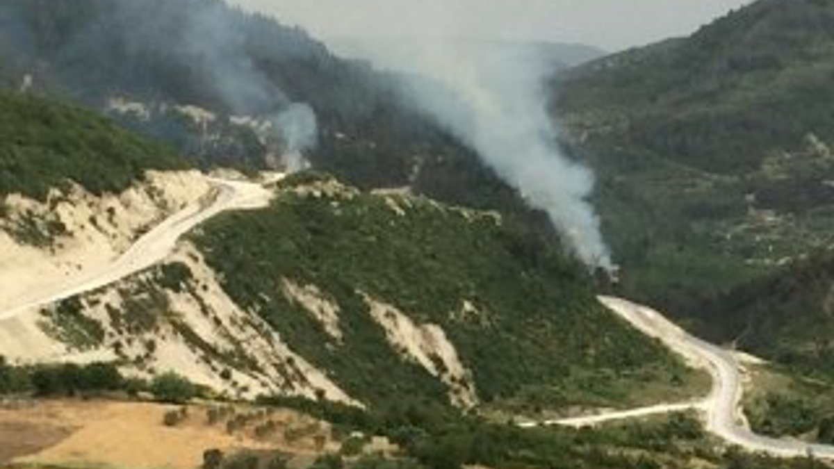 Suriye sınırında orman yangını