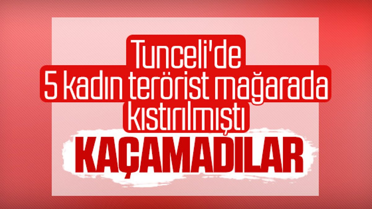 Tunceli'de 5 terörist etkisiz hale getirildi