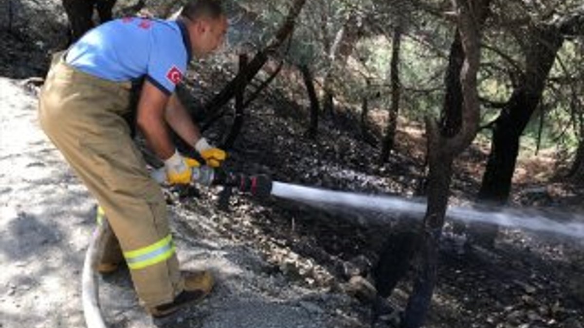 11 yaşındaki çocuk ormanda yangın çıkardı