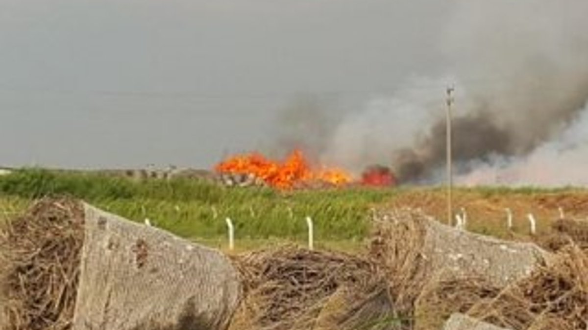 Aydın'da, fabrikanın pamuk deposunda yangın