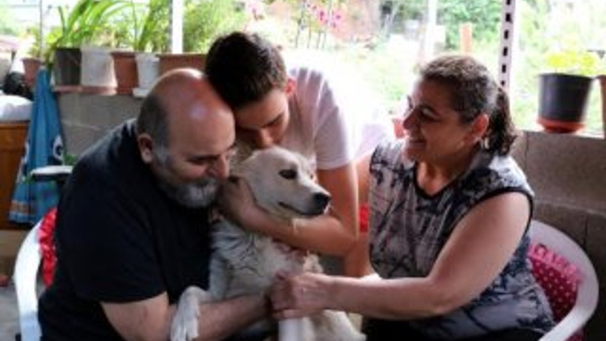 Kayıp köpeğini bulan aile gözyaşlarını tutamadı