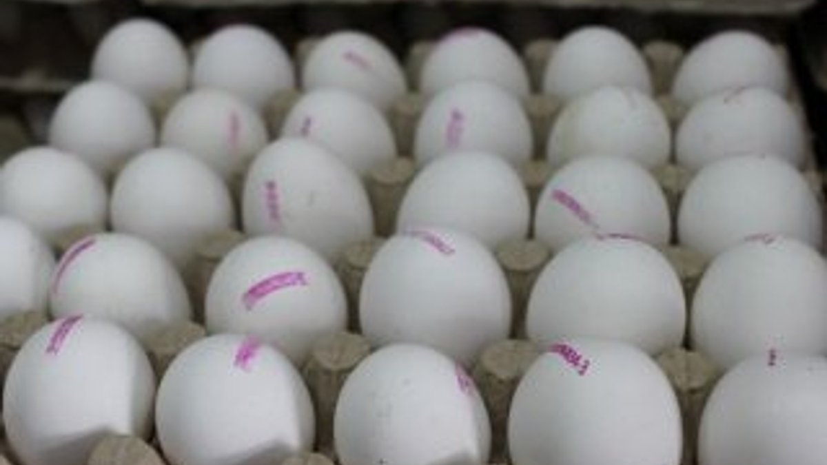 Irak, Türkiye'den yumurta alımını durdurdu fiyatlar düştü