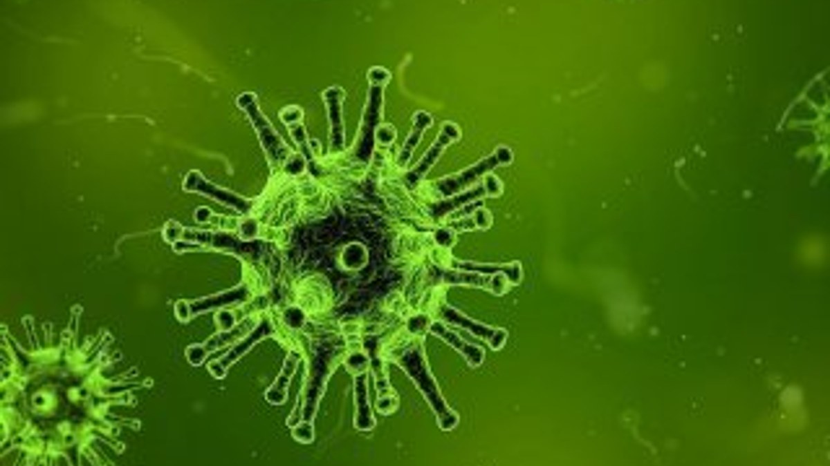 Virüslerde keşfedilen yeni özellik, hastalıkların tedavisinde kullanılabilir