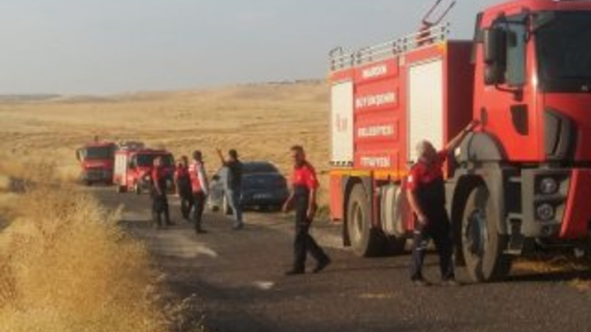 Mardin’de 600 dönümlük alan kül oldu