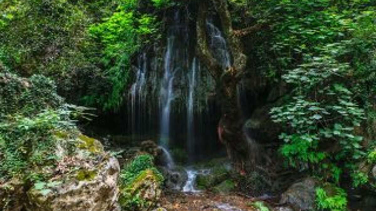 Antalya ormanlarındaki saklı cennet