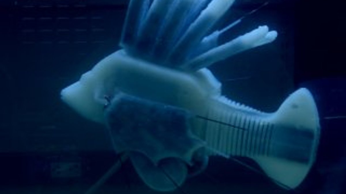 Yapay kan dolaşımı sayesinde yüzebilen robot balık