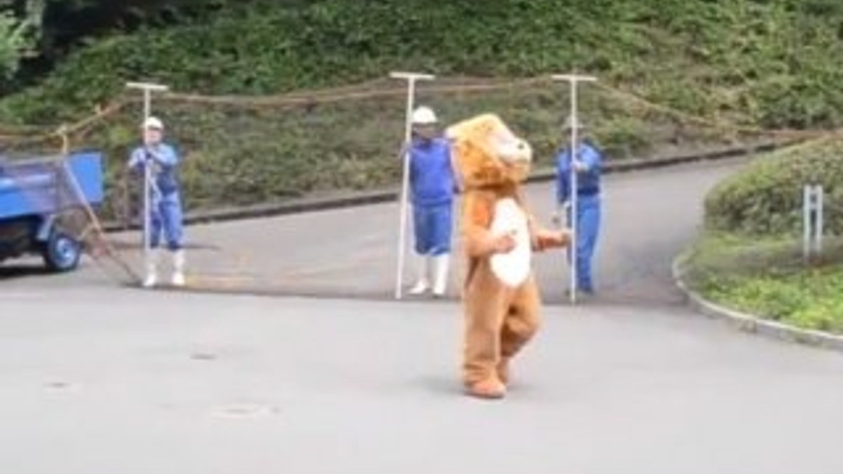 Hayvanat bahçesinde bir garip aslan yakalama tatbikatı