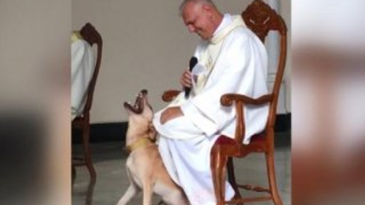 Kilisede ayin sırasında oyun oynayan köpek
