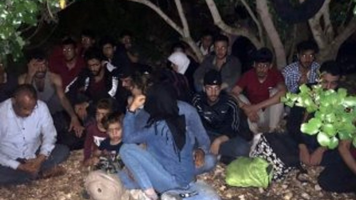 Aydın'da 107 kaçak göçmen yakalandı
