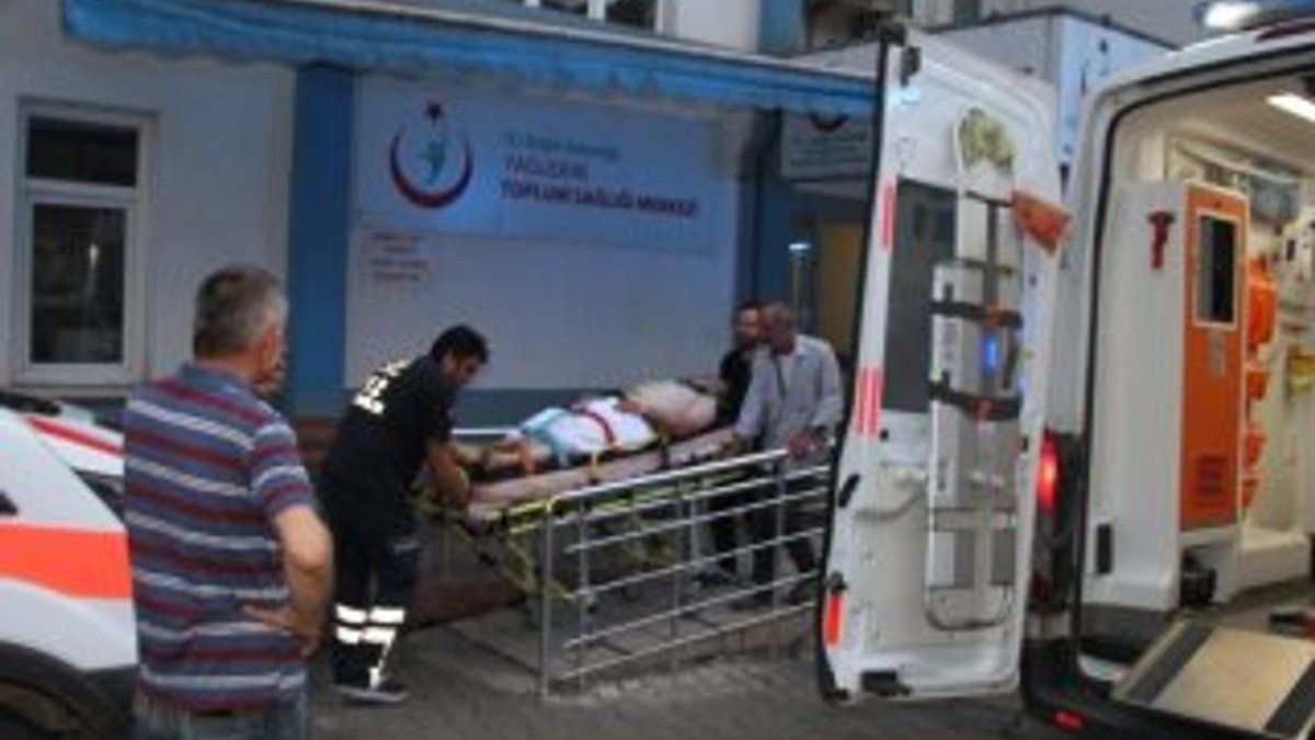 Giresun'da ayı 1 kişiyi yaraladı