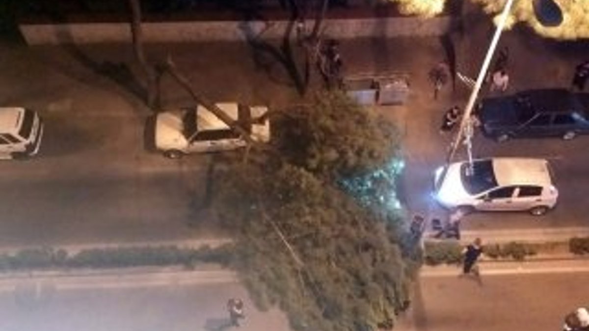 Aydın'da çam ağacı seyir halindeki aracın üstüne devrildi