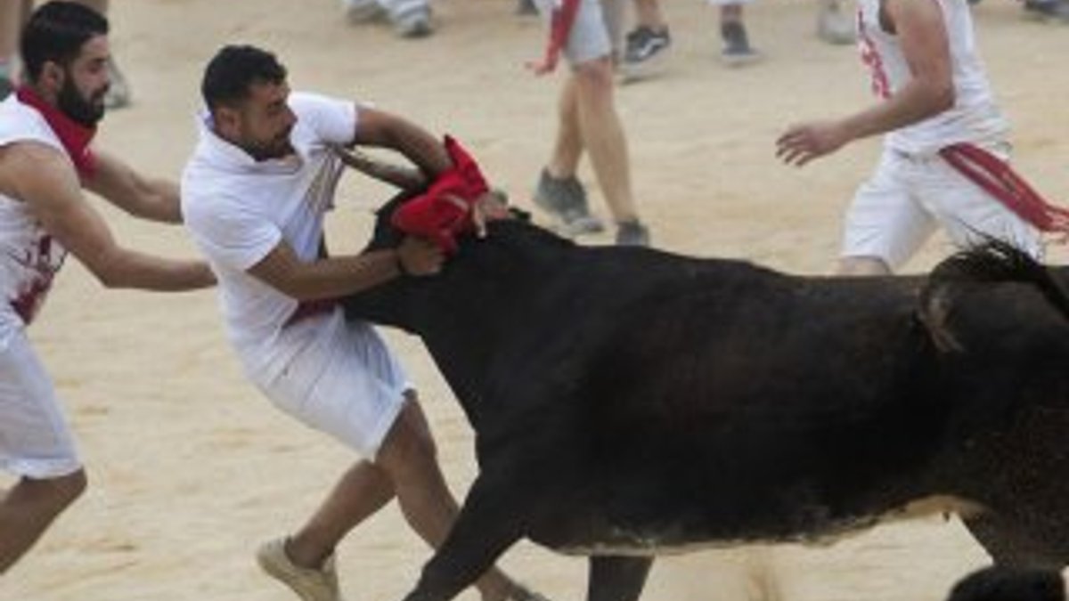 İspanya'da geleneksel boğa festivali başladı
