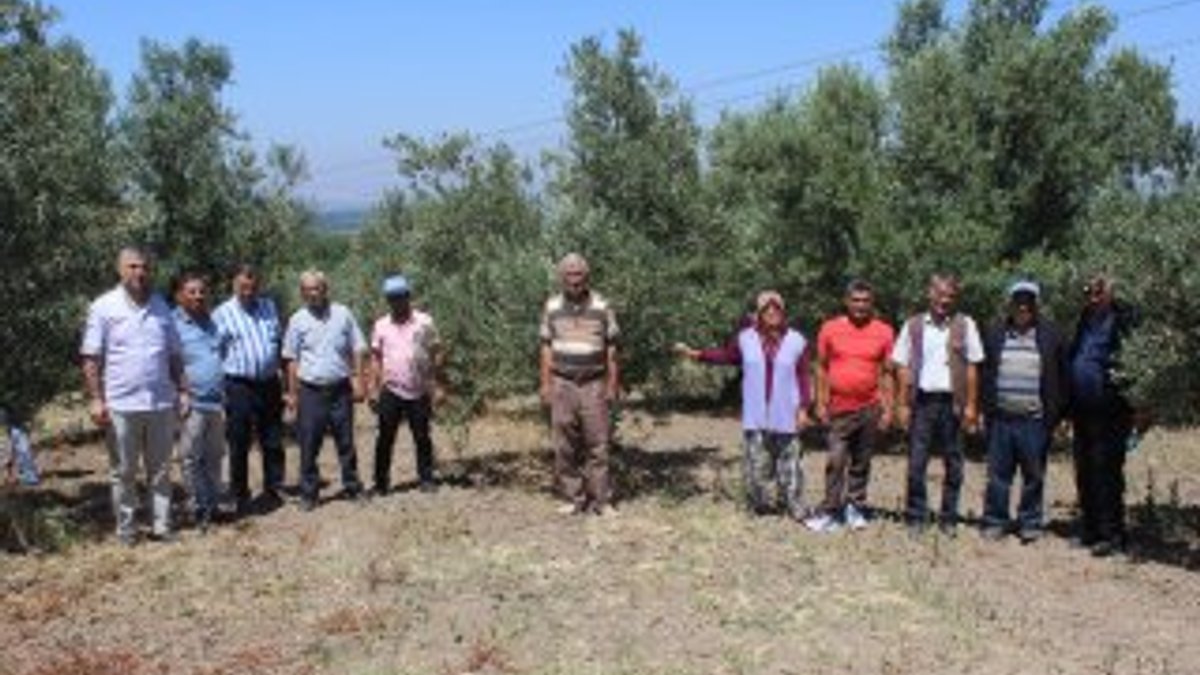 Bursa'da köylerini ağaçlandıran kişilere hapis cezası