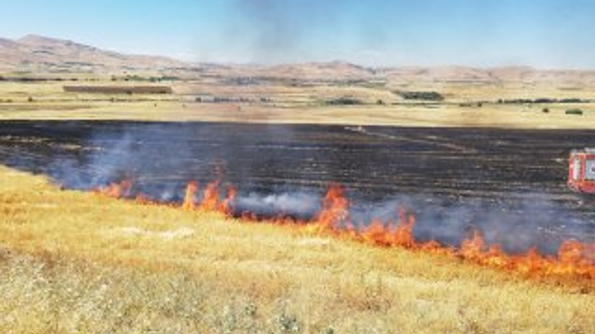 Elazığ'da 150 dönümlük alan yandı