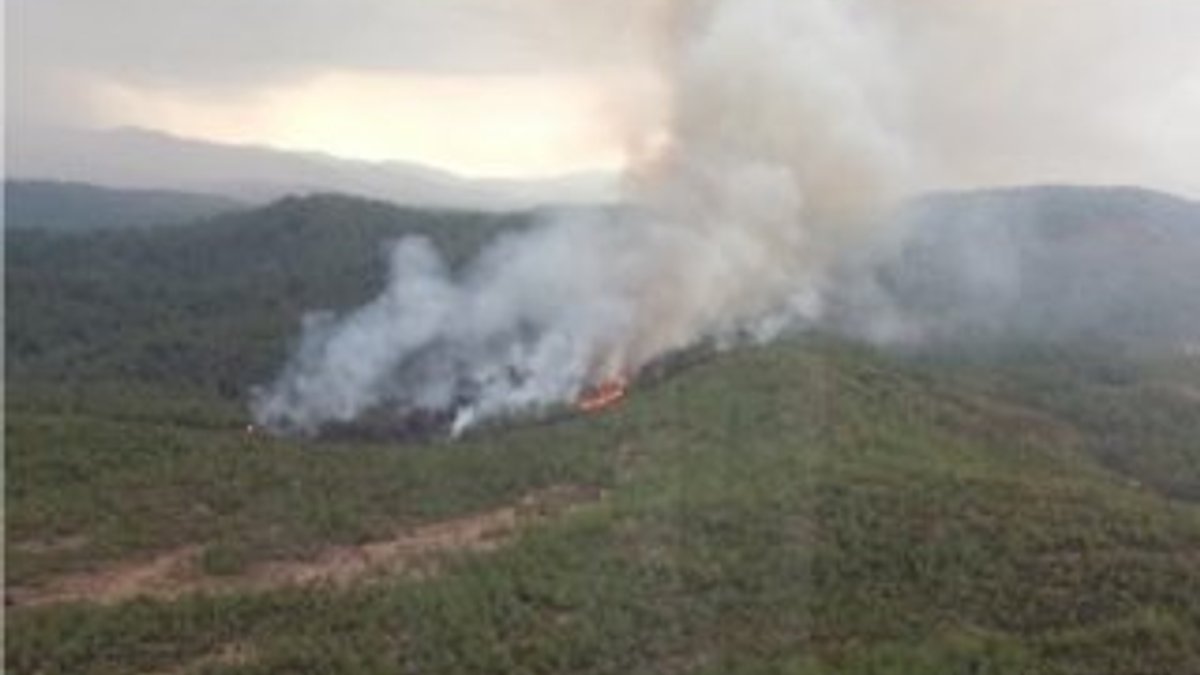 Muğla'nın Köyceğiz ilçesinde orman yangını