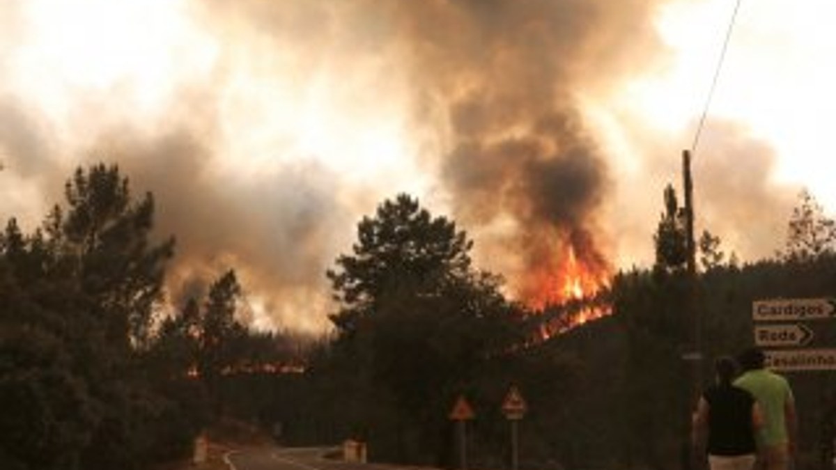 Portekiz'deki orman yangınında yaralı sayısı 31'e çıktı