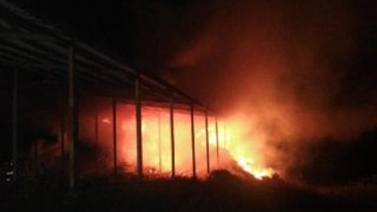 Bursa'da çiftlik yangınında 2 bin balya saman kül oldu