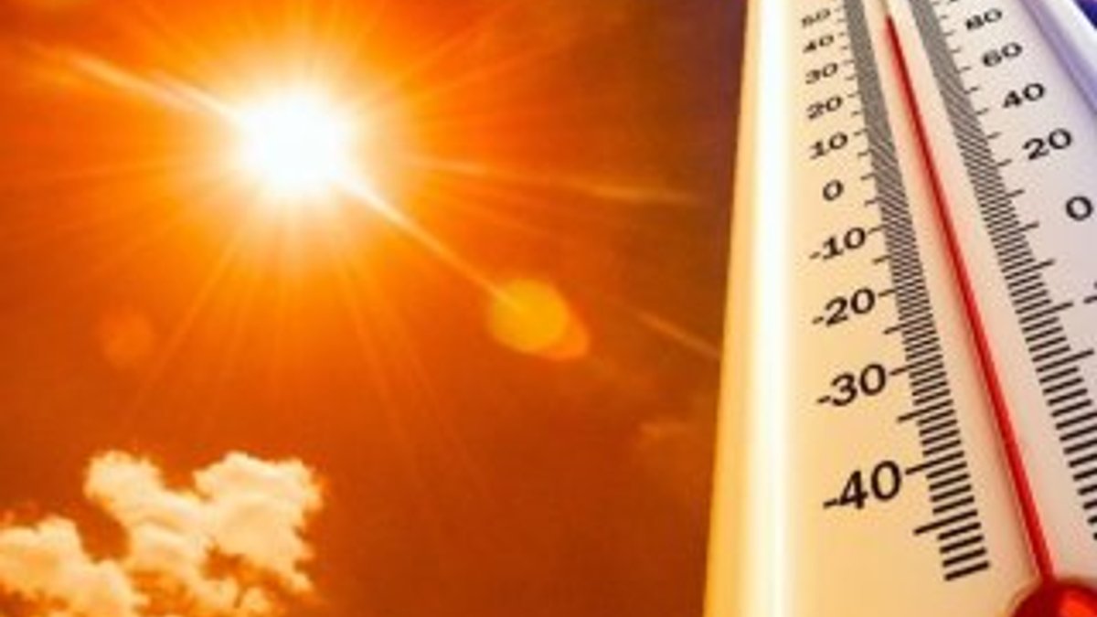 Hollanda’da 75 yıllık sıcaklık rekoru: 38,8 derece