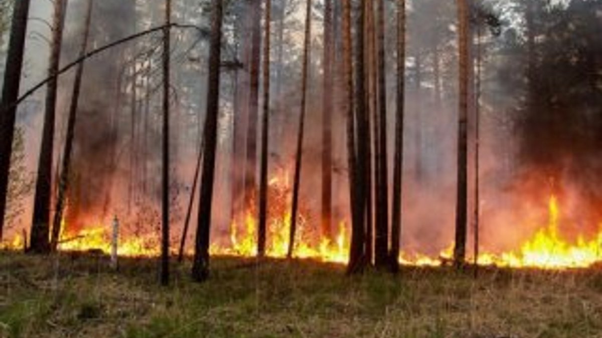 İklim değişikliği, kuzey kutbunda yangınlara neden oluyor
