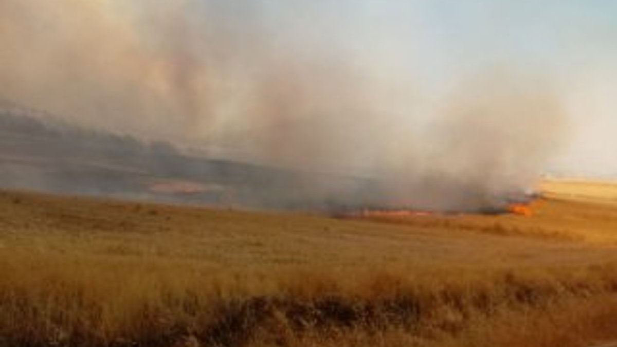 Gaziantep'te anız yangını ormana sıçradı