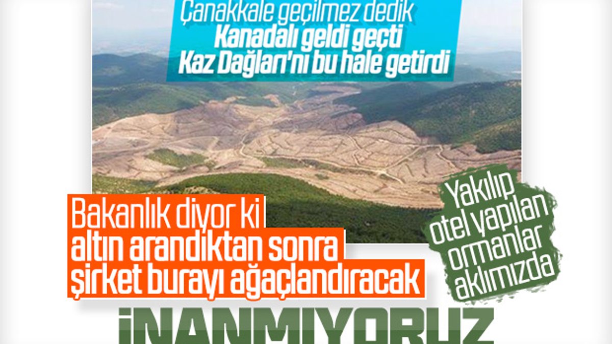Kaz Dağları'ndaki ağaç kesimi için Bakanlık açıklama yaptı