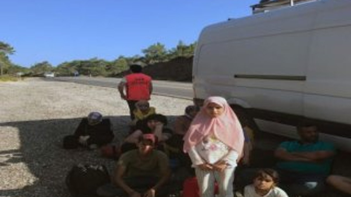 Datça’da 13 Irak uyruklu göçmen yakalandı
