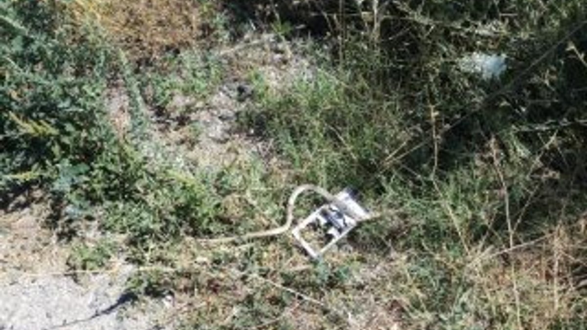 Konya'da yılana ateş eden adam, eşini öldürdü