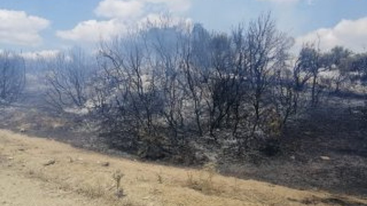 Tekirdağ’da 10 dönüm orman küle döndü