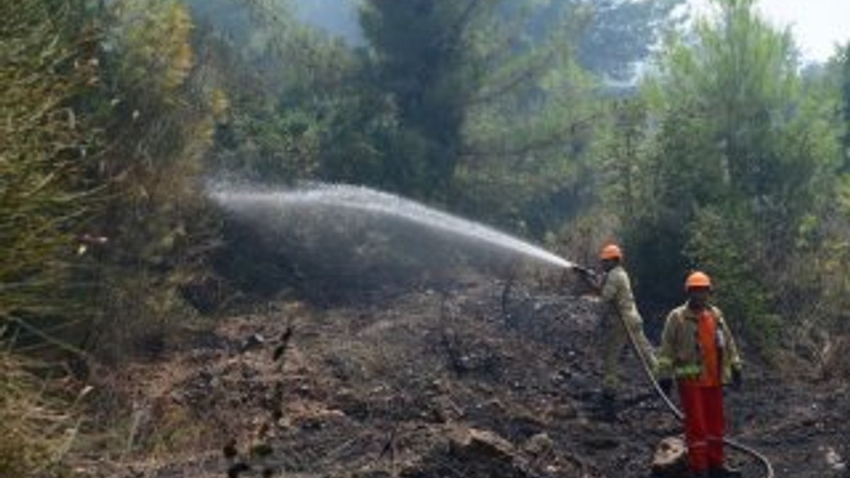 Antalya'da 1 hektar orman yandı