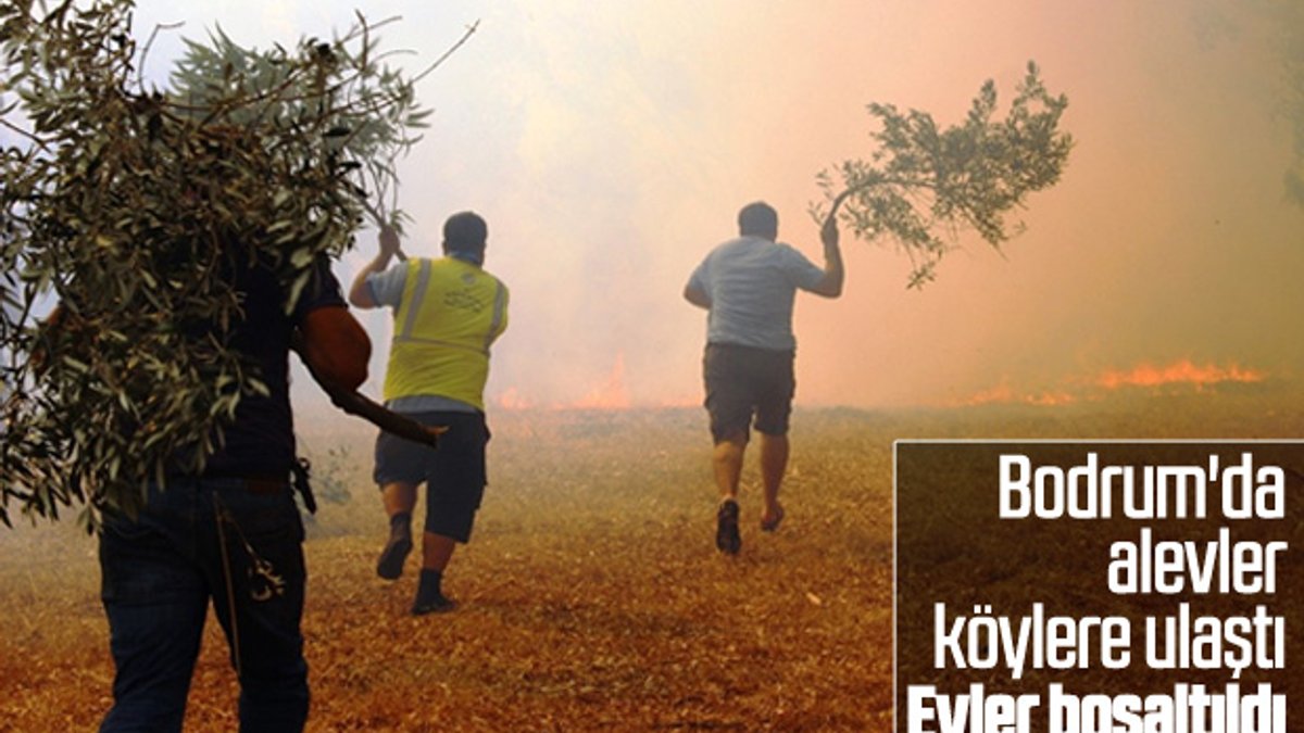 Bodrum'daki orman yangını tehlikeli boyuta ulaştı