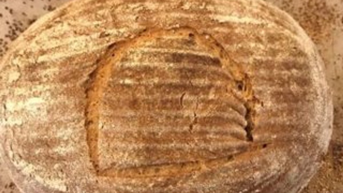 4500 yıllık maya ile ekmek pişirdi