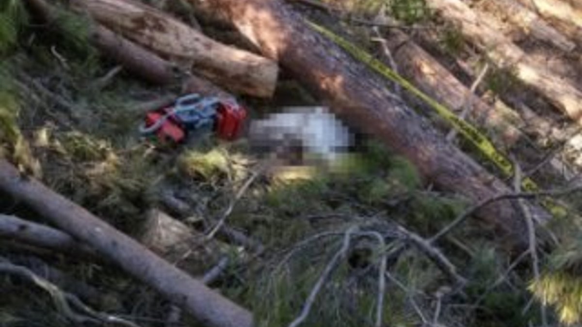 Denizli'de bir adam kestiği ağacın altında öldü