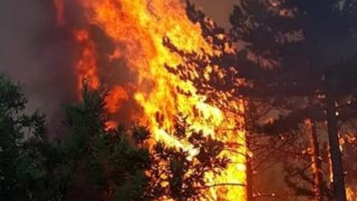 Kütahya'daki yangın kontrol altına alındı, 80 hektar alan kül oldu