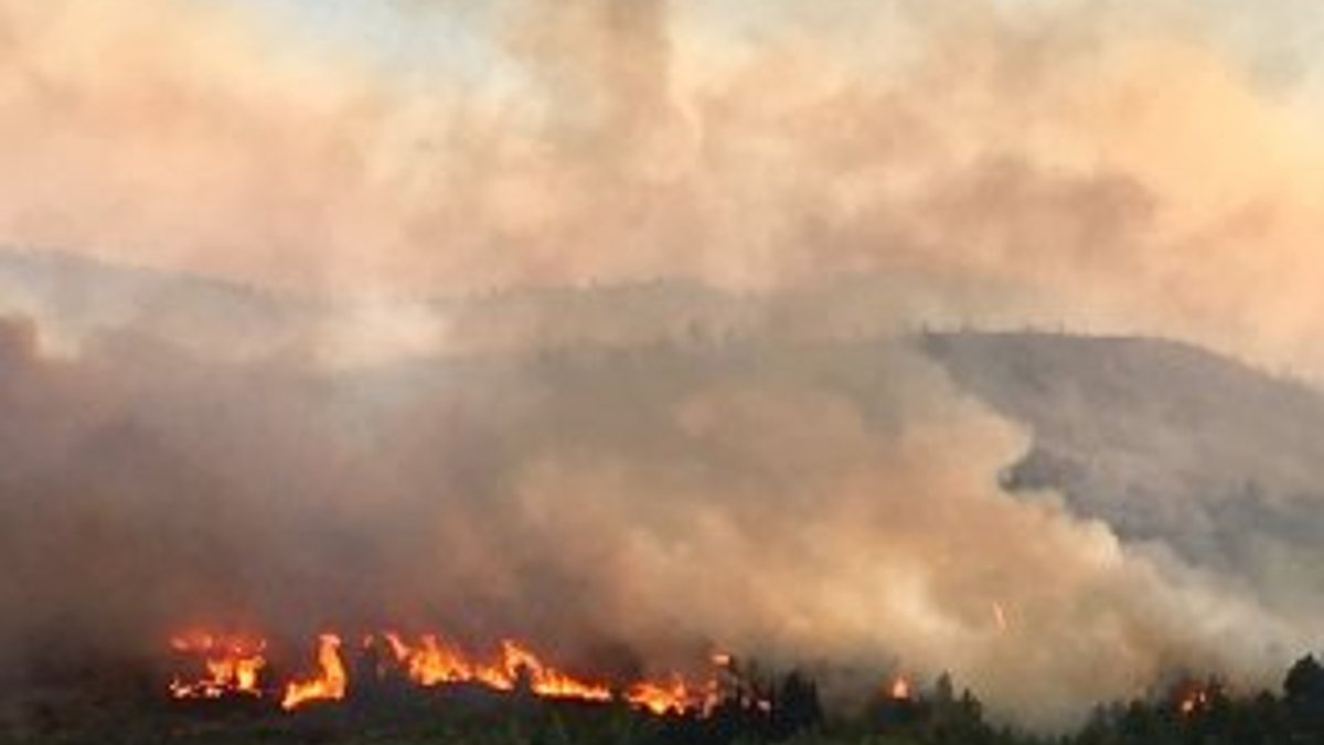 Fransa'da 900 hektarlık ormanlık alan yandı
