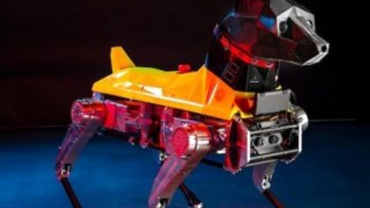 Komutları yerine getirebilen robot köpek: Astro