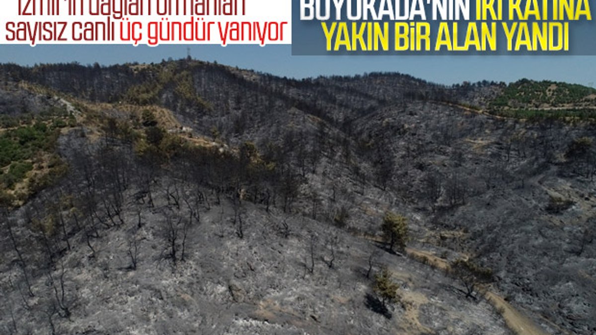 İzmir'deki yangını söndürme çalışmaları 3. gününde