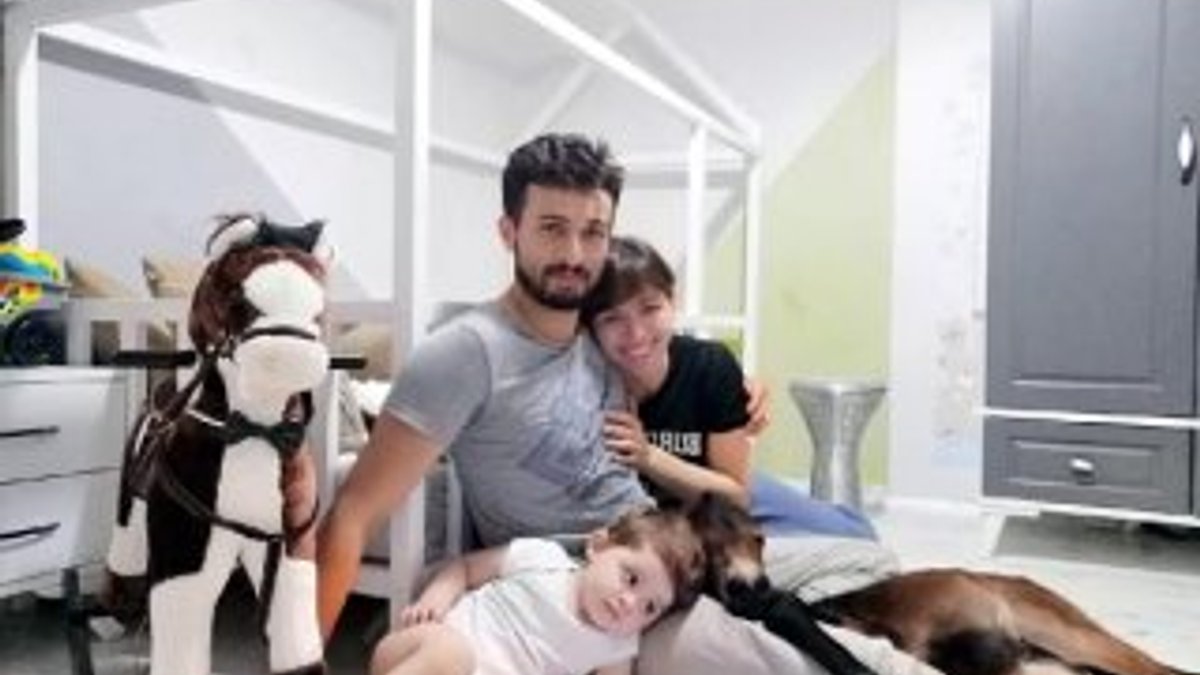 İstanbul'da evine getirdiği sıpayı çocuğu kıskandı