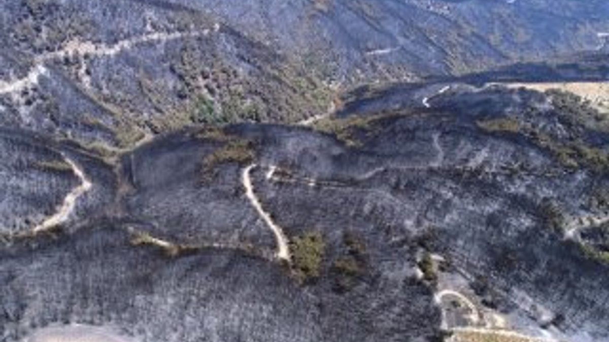 İzmir'deki orman yangınından sonra ortaya çıkan görüntü
