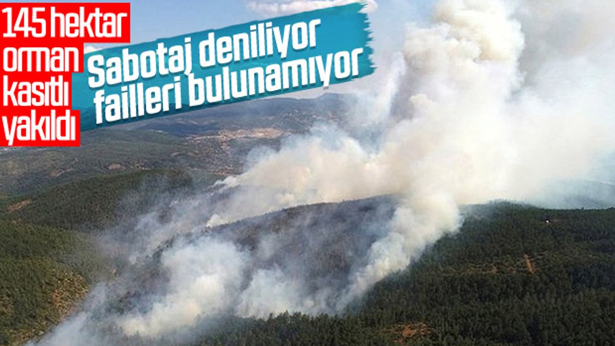 Bursa'daki orman yangınının sebebi sabotaj