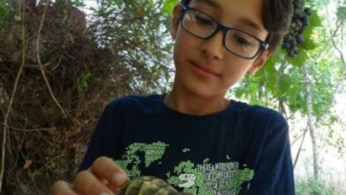 Hayvanları tanıtan 12 yaşındaki Mehmet fenomen oldu