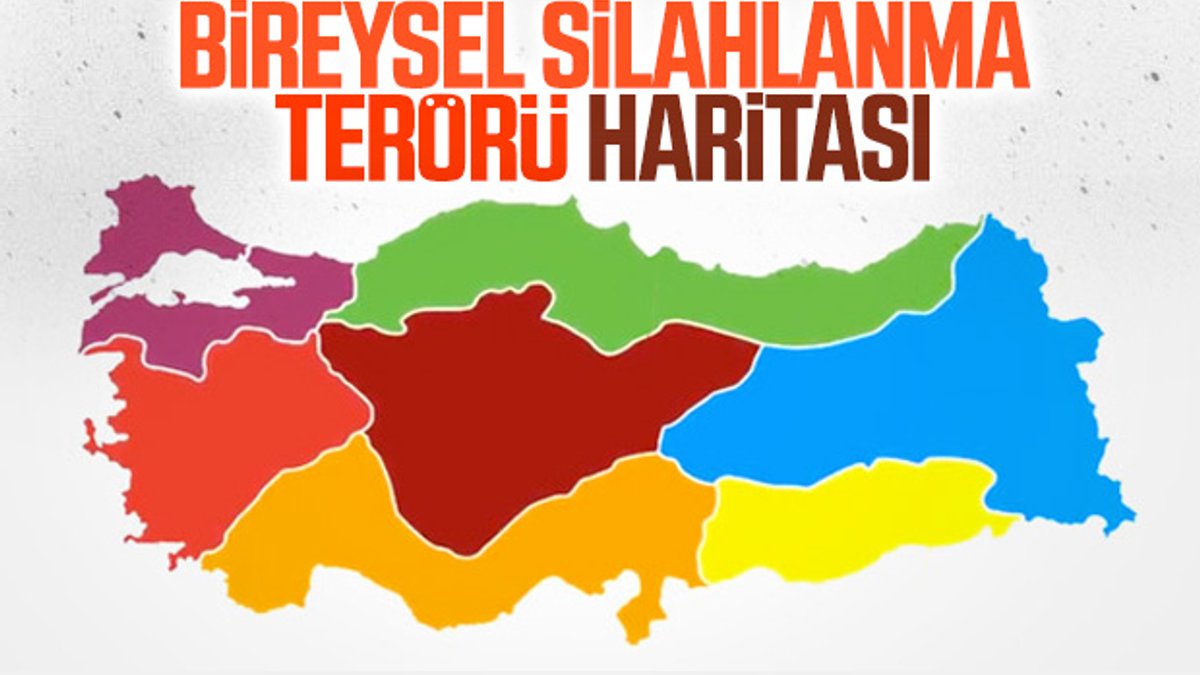 Türkiye’de bireysel silahlanma: 100 kişiden 12'si silahlı