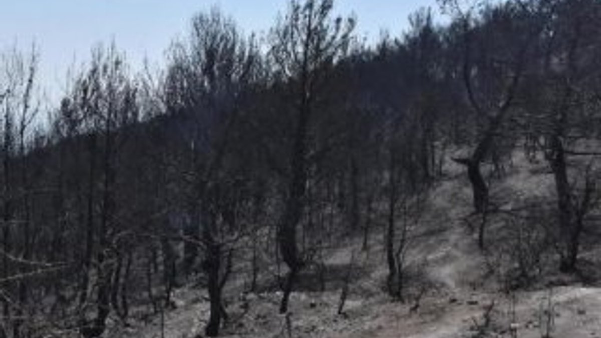 İzmir Karabağlar yangınında soruşturma sürüyor