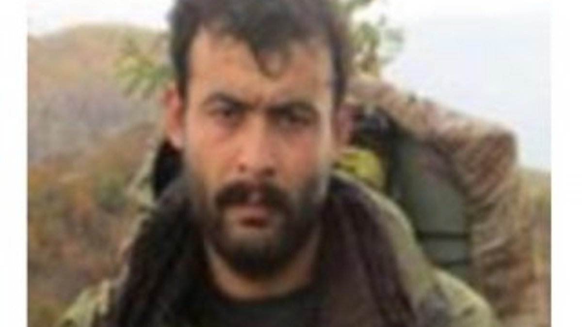 Siirt'te öldürülen terörist 300 bin TL ödüllü çıktı