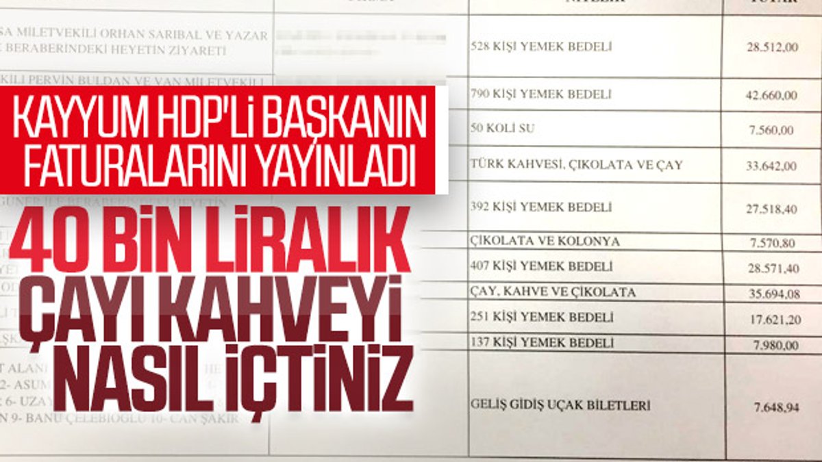 HDP'li Ahmet Türk'ün dudak uçuklatan harcamaları