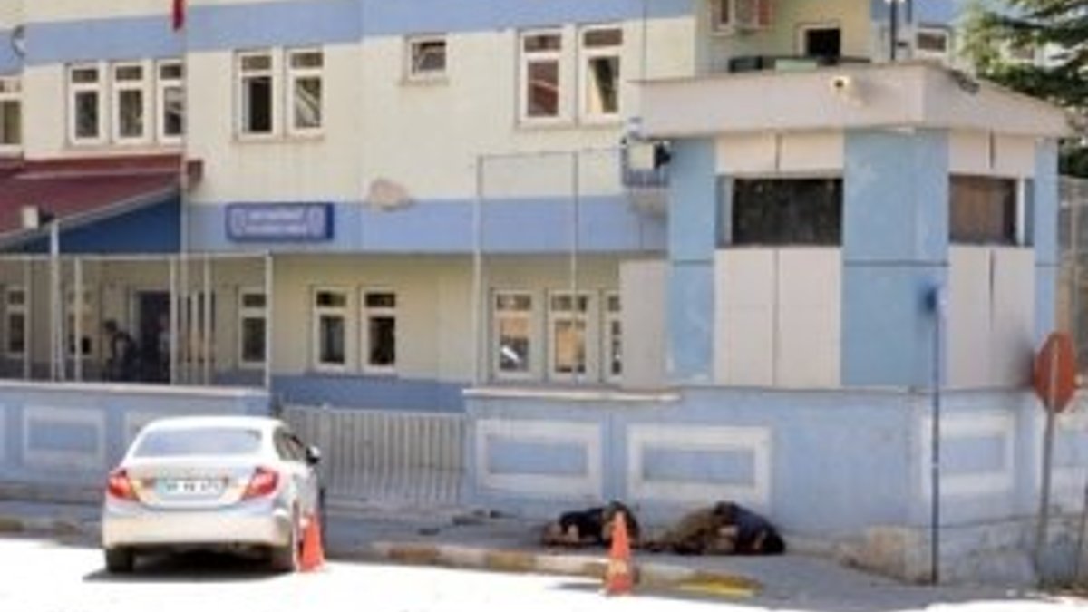 Tunceli'de sapığı bağlayıp polise teslim ettiler