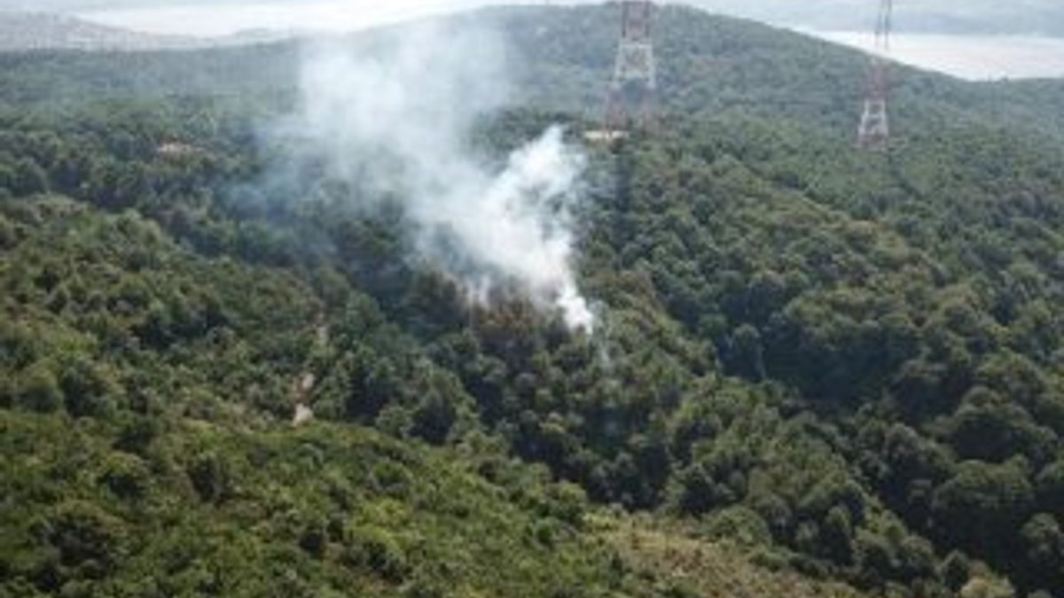 Anadolu Kavağı’nda orman yangını